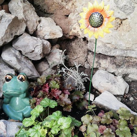 Charmant Appartement En Centre-Ville Medieval Gigean 外观 照片